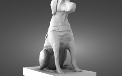 A Tribute in Bronze: The Guide Dog Statue in New Brighton