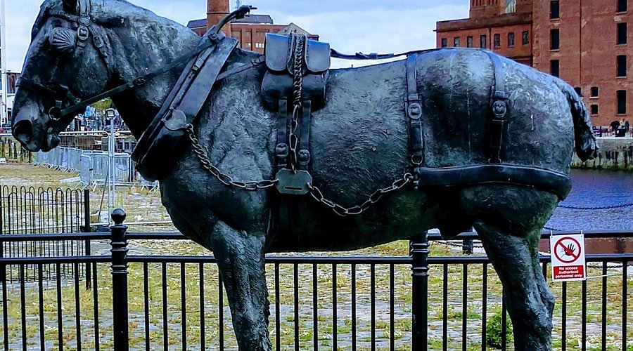 Using the original Creality Otter to 3D scan the bronze working horse monument outdoors.